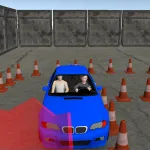Play Schoolboy: Bmw Exam now!